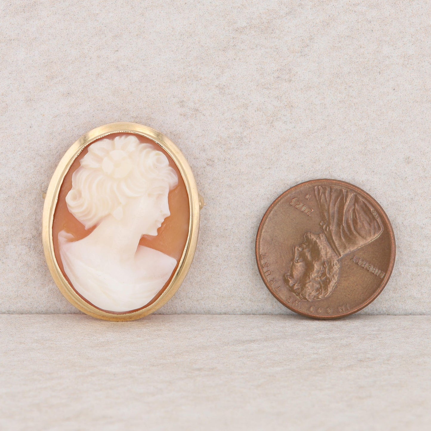 14k Yellow Gold Cameo Pendant/Pin