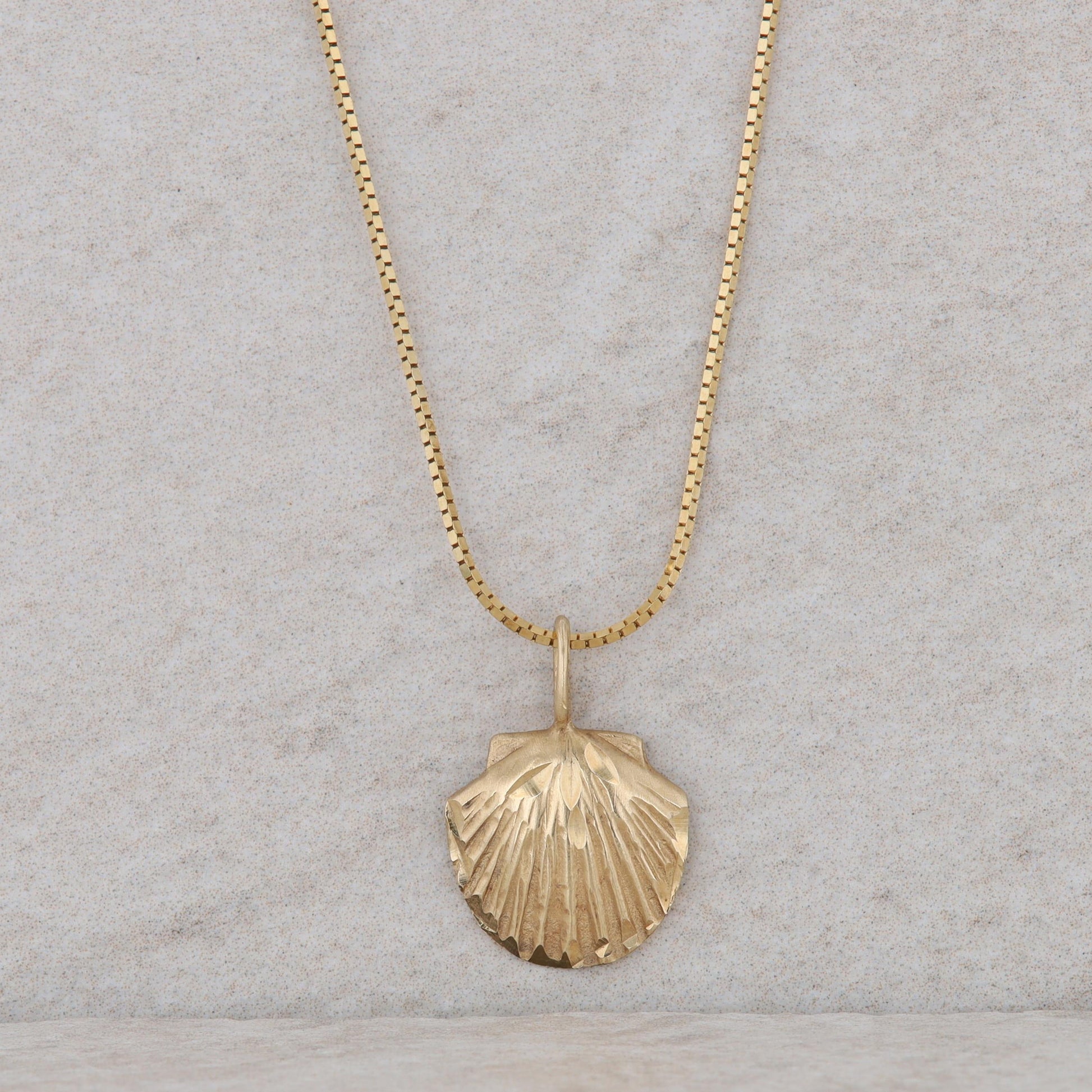 14k Yellow Gold Seashell Pendant with Box Chain Necklace 2.70g