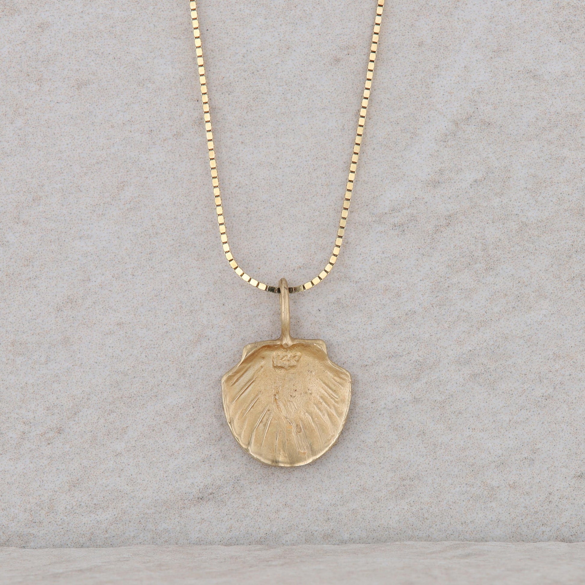 14k Yellow Gold Seashell Pendant with Box Chain Necklace 2.70g